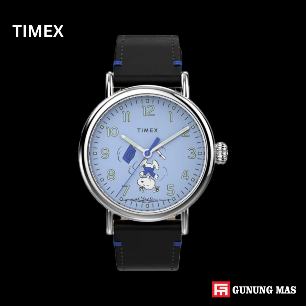 TIMEX TW2V60300V5